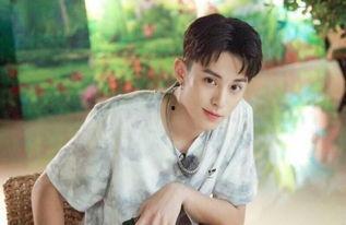 圈内人士爆料王鹤棣视频,圈内人士揭秘幕后真相 第3张 圈内人士爆料王鹤棣视频,圈内人士揭秘幕后真相 第3张